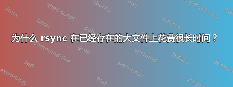 为什么 rsync 在已经存在的大文件上花费很长时间？