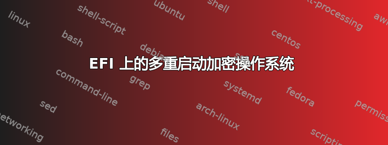 EFI 上的多重启动加密操作系统