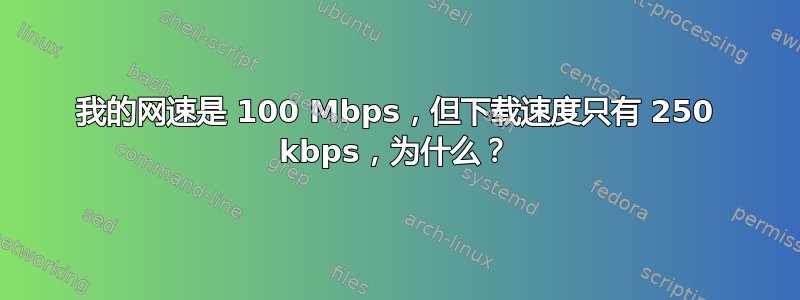 我的网速是 100 Mbps，但下载速度只有 250 kbps，为什么？