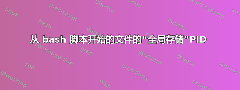 从 bash 脚本开始的文件的“全局存储”PID