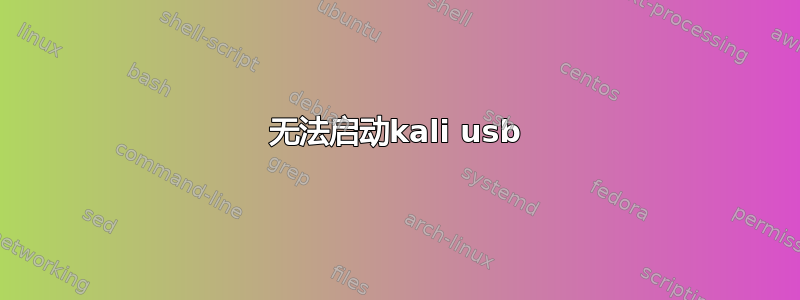 无法启动kali usb