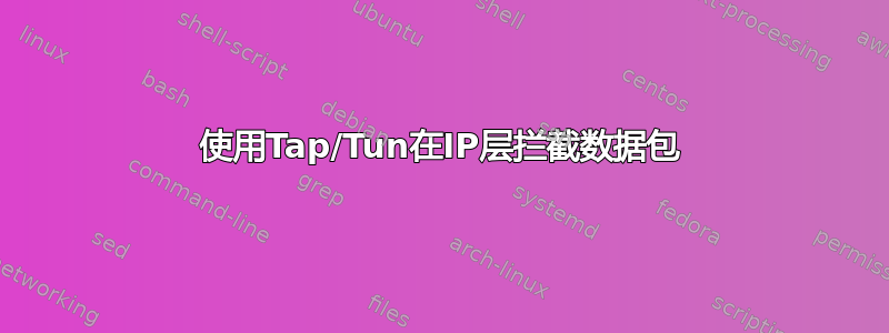 使用Tap/Tun在IP层拦截数据包