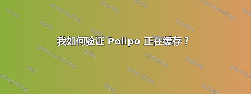 我如何验证 Polipo 正在缓存？