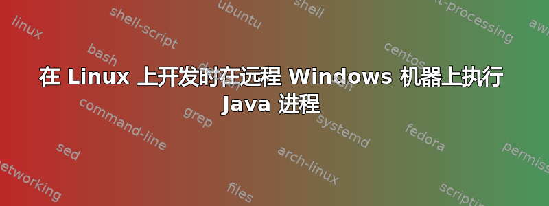 在 Linux 上开发时在远程 Windows 机器上执行 Java 进程