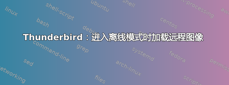 Thunderbird：进入离线模式时加载远程图像