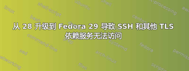 从 28 升级到 Fedora 29 导致 SSH 和其他 TLS 依赖服务无法访问