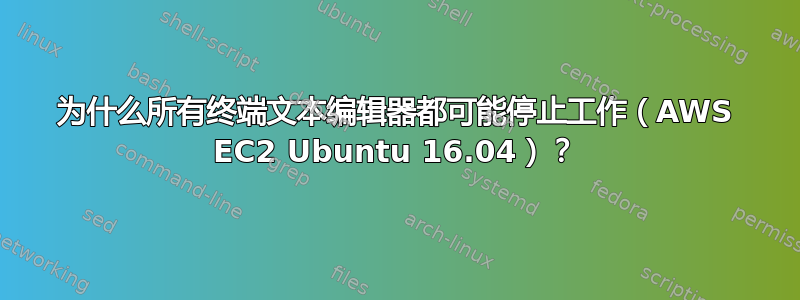 为什么所有终端文本编辑器都可能停止工作（AWS EC2 Ubuntu 16.04）？