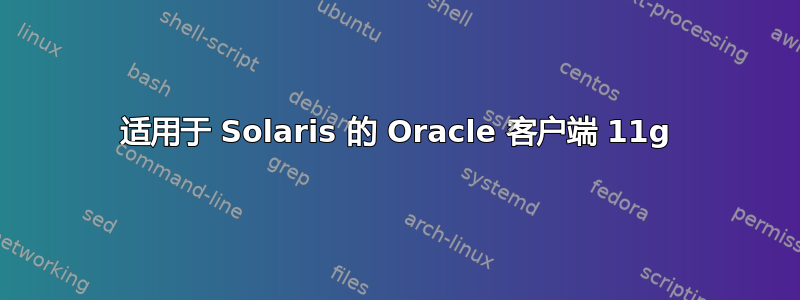 适用于 Solaris 的 Oracle 客户端 11g