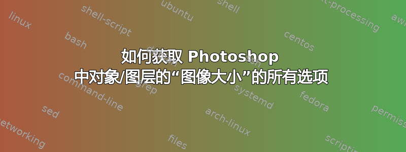 如何获取 Photoshop 中对象/图层的“图像大小”的所有选项