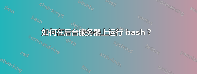 如何在后台服务器上运行 bash？