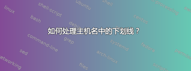 如何处理主机名中的下划线？