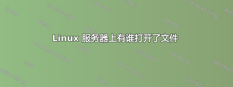 Linux 服务器上有谁打开了文件