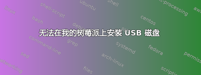 无法在我的树莓派上安装 USB 磁盘