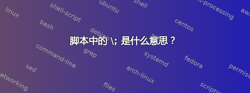 脚本中的 \; 是什么意思？