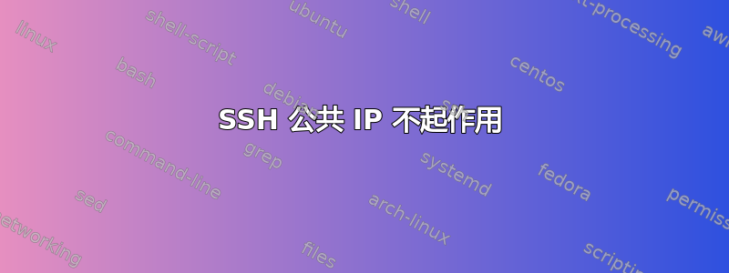 SSH 公共 IP 不起作用