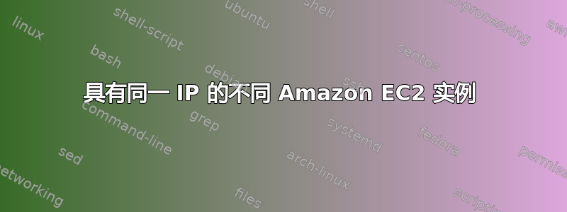 具有同一 IP 的不同 Amazon EC2 实例