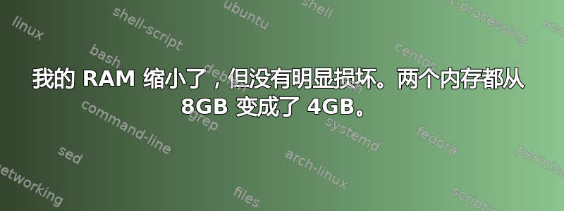 我的 RAM 缩小了，但没有明显损坏。两个内存都从 8GB 变成了 4GB。