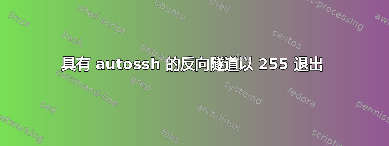 具有 autossh 的反向隧道以 255 退出