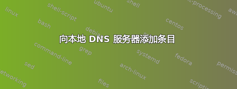 向本地 DNS 服务器添加条目