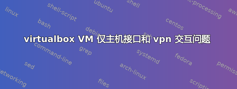 virtualbox VM 仅主机接口和 vpn 交互问题