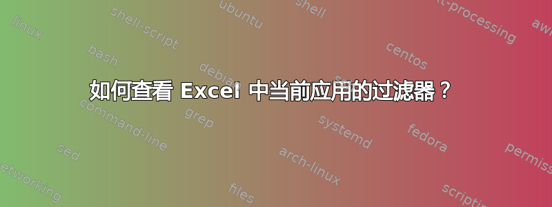 如何查看 Excel 中当前应用的过滤器？