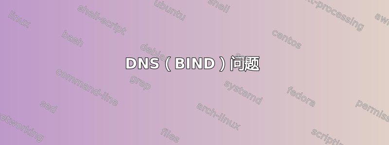 DNS（BIND）问题