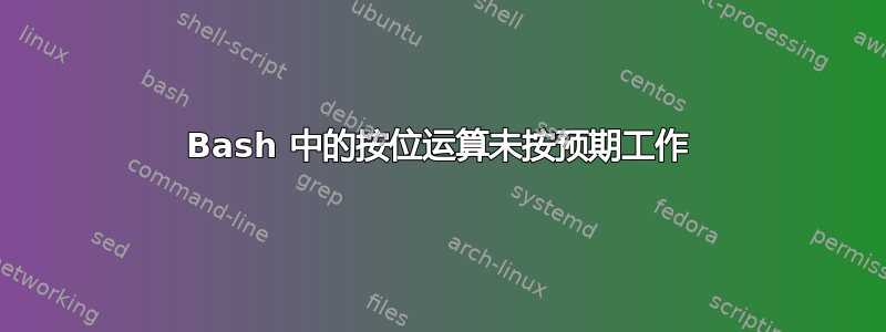 Bash 中的按位运算未按预期工作