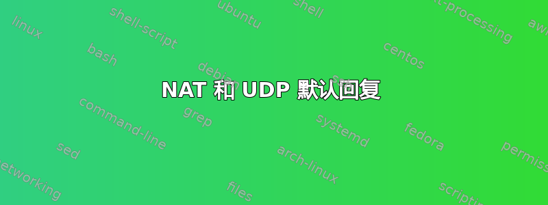 NAT 和 UDP 默认回复