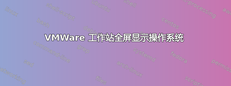 VMWare 工作站全屏显示操作系统