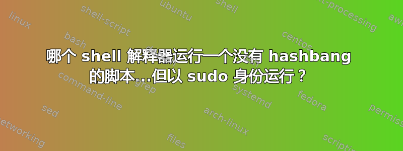 哪个 shell 解释器运行一个没有 hashbang 的脚本...但以 sudo 身份运行？