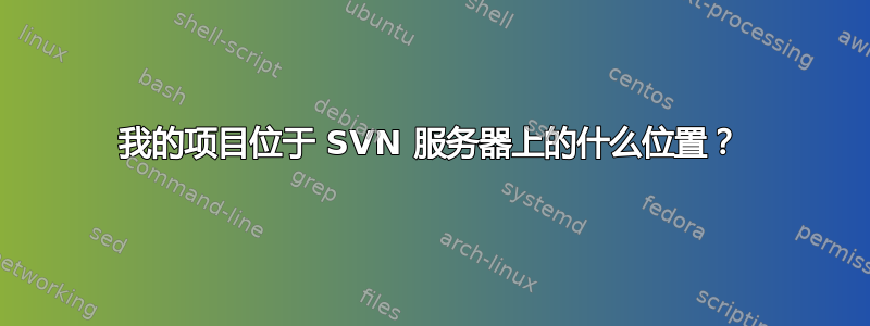 我的项目位于 SVN 服务器上的什么位置？