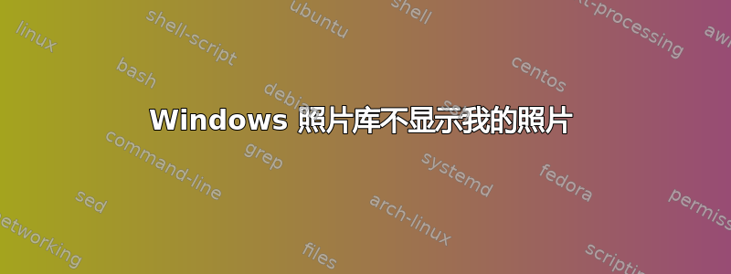 Windows 照片库不显示我的照片