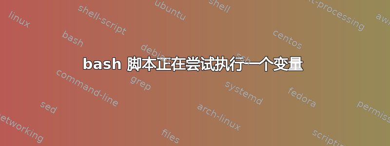 bash 脚本正在尝试执行一个变量