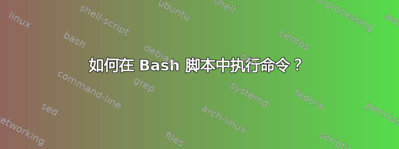 如何在 Bash 脚本中执行命令？