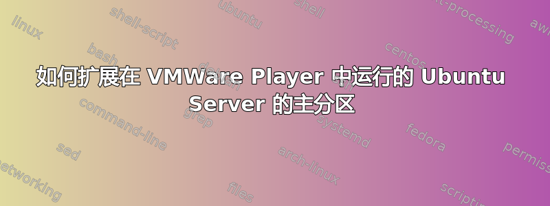 如何扩展在 VMWare Player 中运行的 Ubuntu Server 的主分区