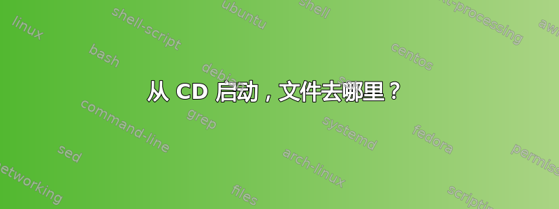 从 CD 启动，文件去哪里？