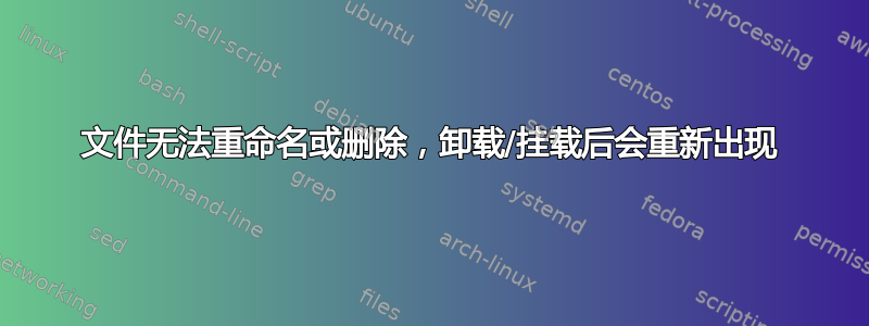 文件无法重命名或删除，卸载/挂载后会重新出现