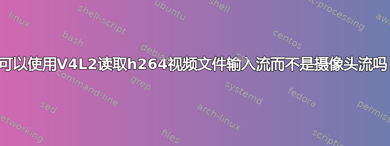 我可以使用V4L2读取h264视频文件输入流而不是摄像头流吗？