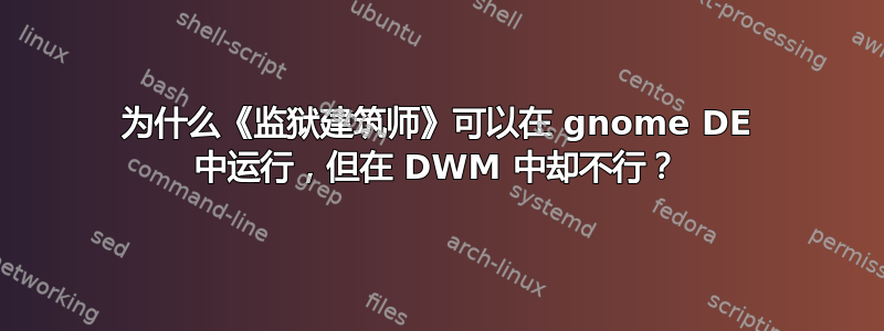 为什么《监狱建筑师》可以在 gnome DE 中运行，但在 DWM 中却不行？