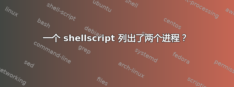 一个 shellscript 列出了两个进程？