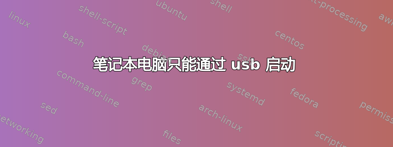 笔记本电脑只能通过 usb 启动