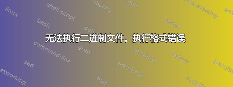 无法执行二进制文件。执行格式错误