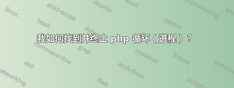 我如何找到并终止 php 循环（进程）？