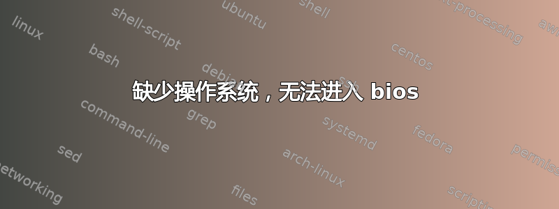 缺少操作系统，无法进入 bios