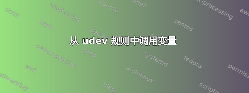 从 udev 规则中调用变量