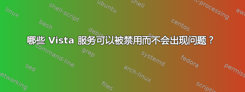 哪些 Vista 服务可以被禁用而不会出现问题？