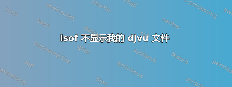 lsof 不显示我的 djvu 文件