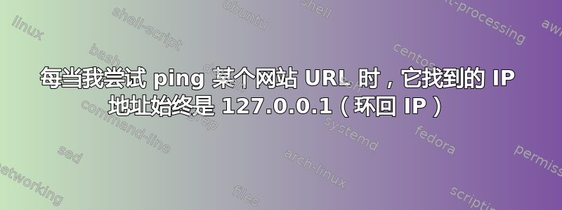 每当我尝试 ping 某个网站 URL 时，它找到的 IP 地址始终是 127.0.0.1（环回 IP）