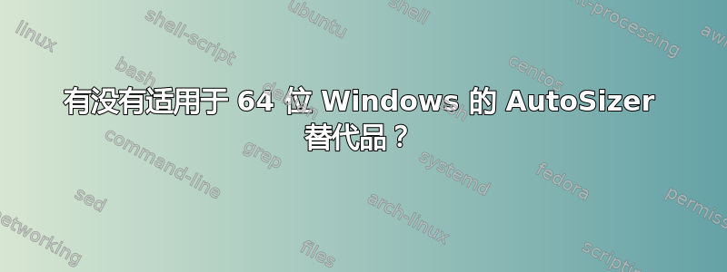 有没有适用于 64 位 Windows 的 AutoSizer 替代品？