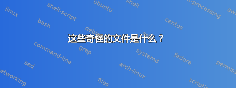 这些奇怪的文件是什么？